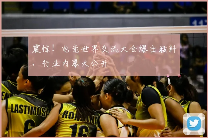 震惊！电竞世界交流大会爆出猛料，行业内幕大公开