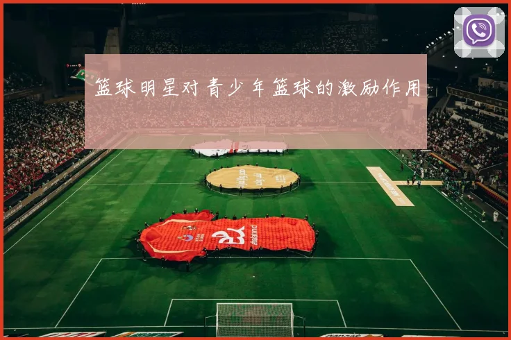 篮球明星对青少年篮球的激励作用